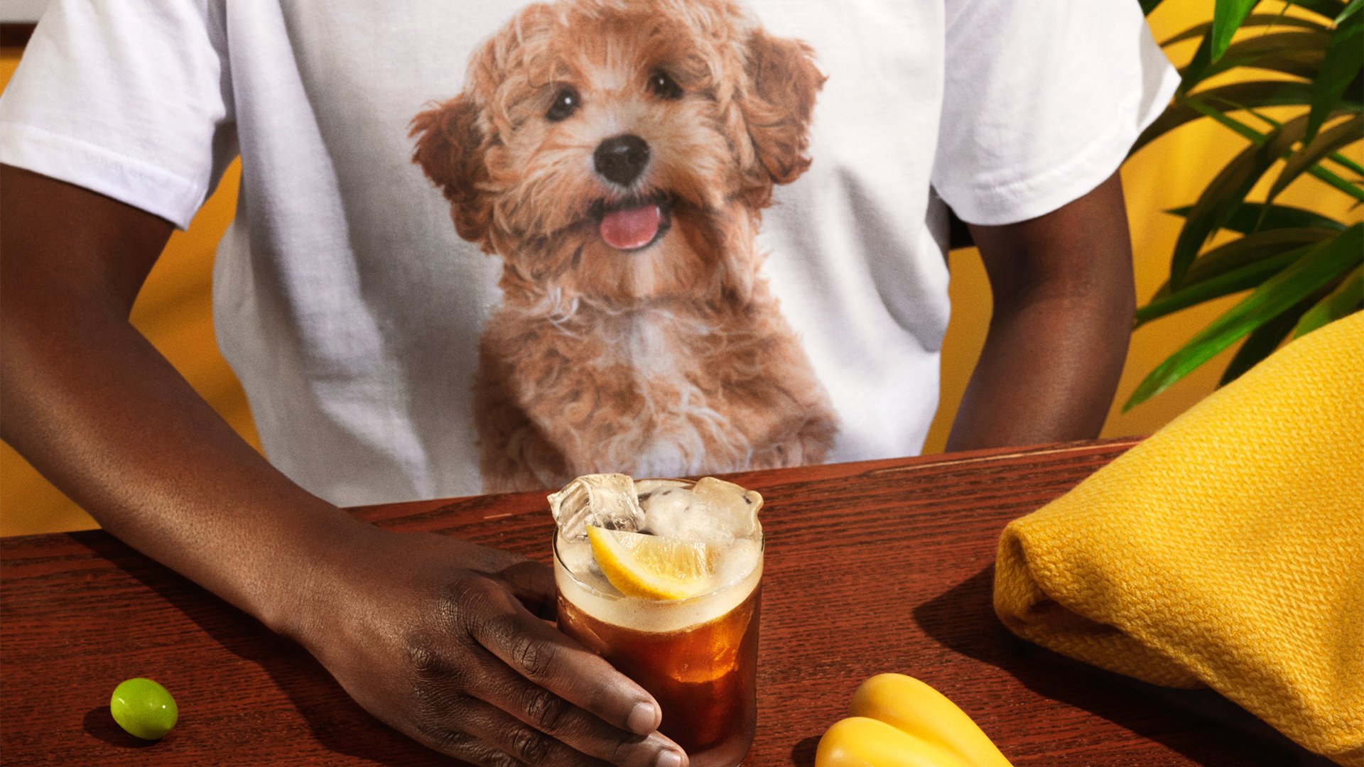 Kahlua sours dog day